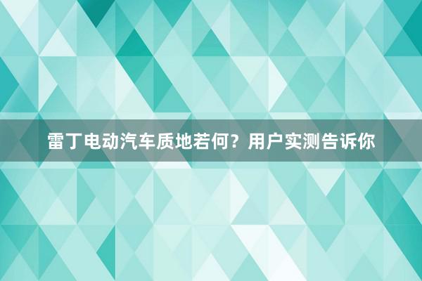 雷丁电动汽车质地若何？用户实测告诉你