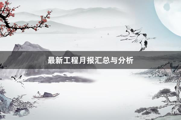最新工程月报汇总与分析